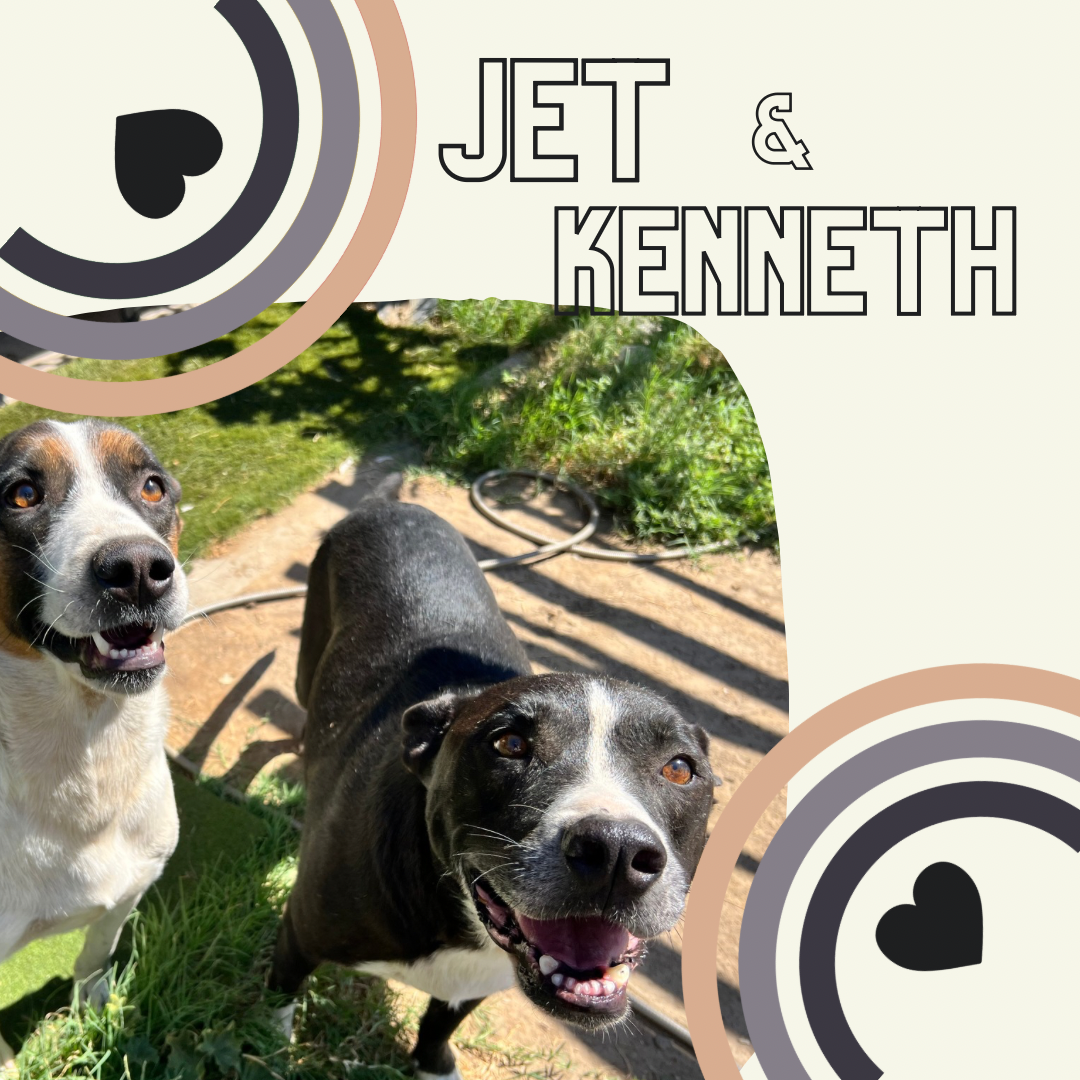 Meet Kenneth & Jet