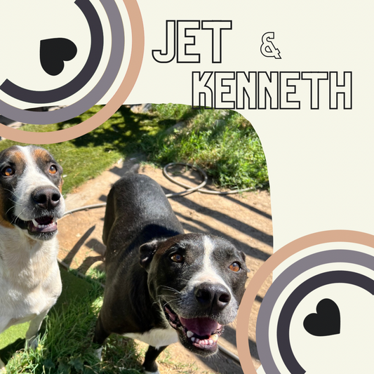 Meet Kenneth & Jet