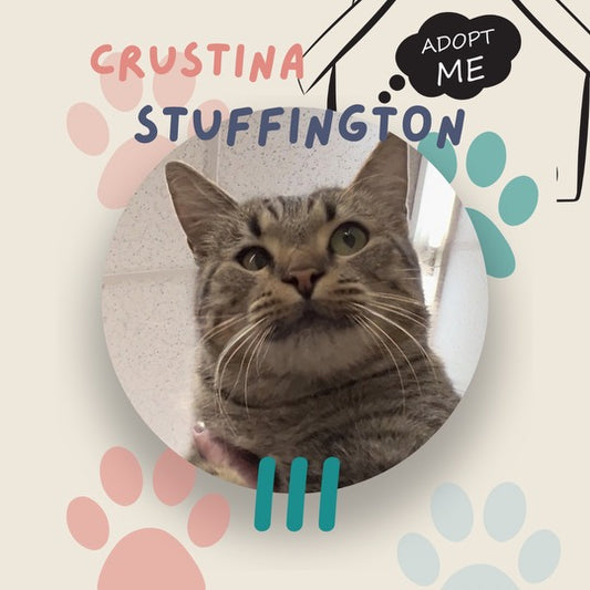 Crustina Stuffington III