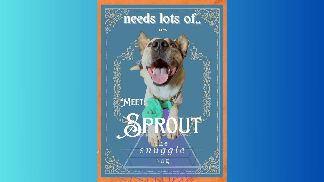 DO NOT LET LOOSE IN A CHINA SHOP